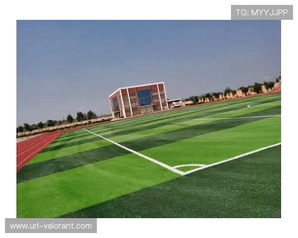 红牛竞技场草皮混合95%天然草与5%人造纤维